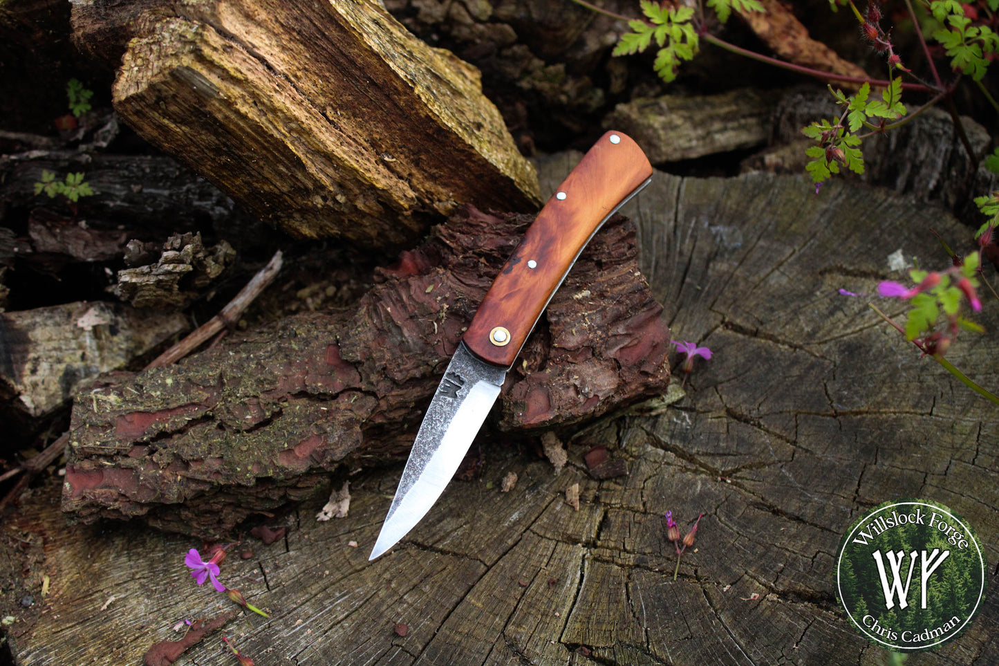 Hand-forged Slipjoint / Heavy Duty Folding Knife / O1 Tool Steel blade with English Yew Burl Scales / UK Legal Pocketknife