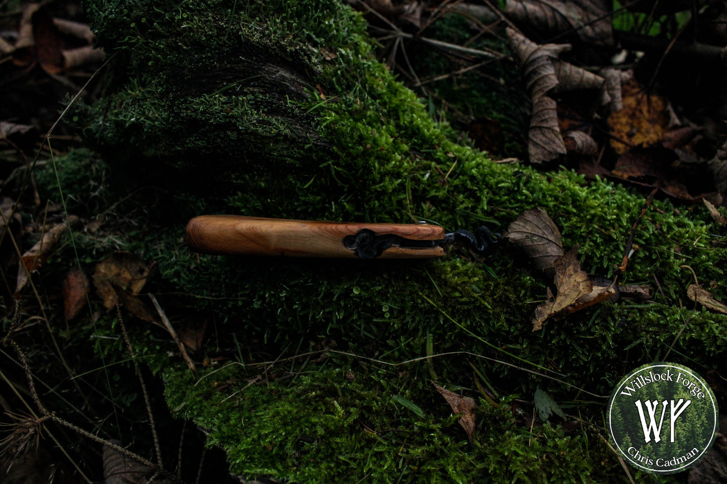 Hand-forged folding knife / Pattern-welded Viking Friction Folder with Welsh Yew Burl handle / UK Legal