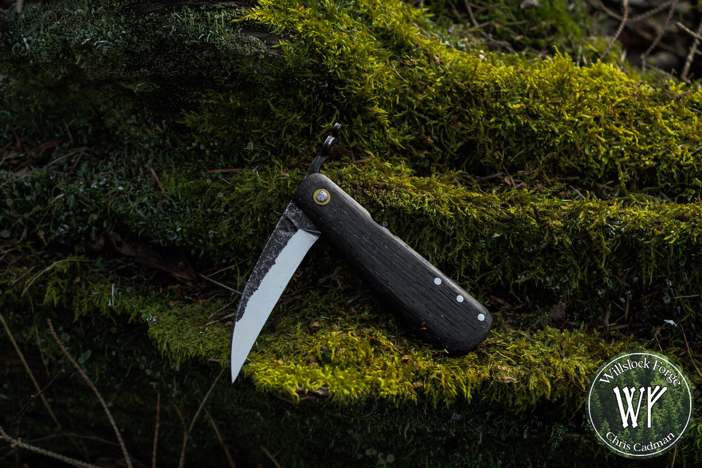 Hand-forged Folding Mushroom Knife. 1084 Carbon Steel Blade with Bog Oak and Bloodwood handle.