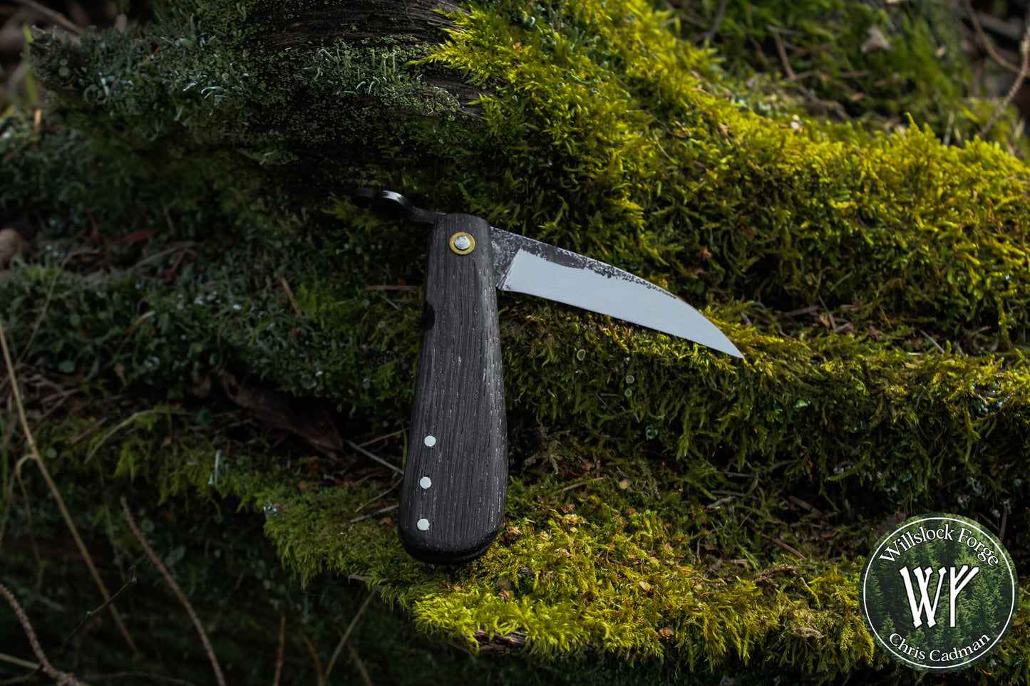 Hand-forged Folding Mushroom Knife. 1084 Carbon Steel Blade with Bog Oak and Bloodwood handle.