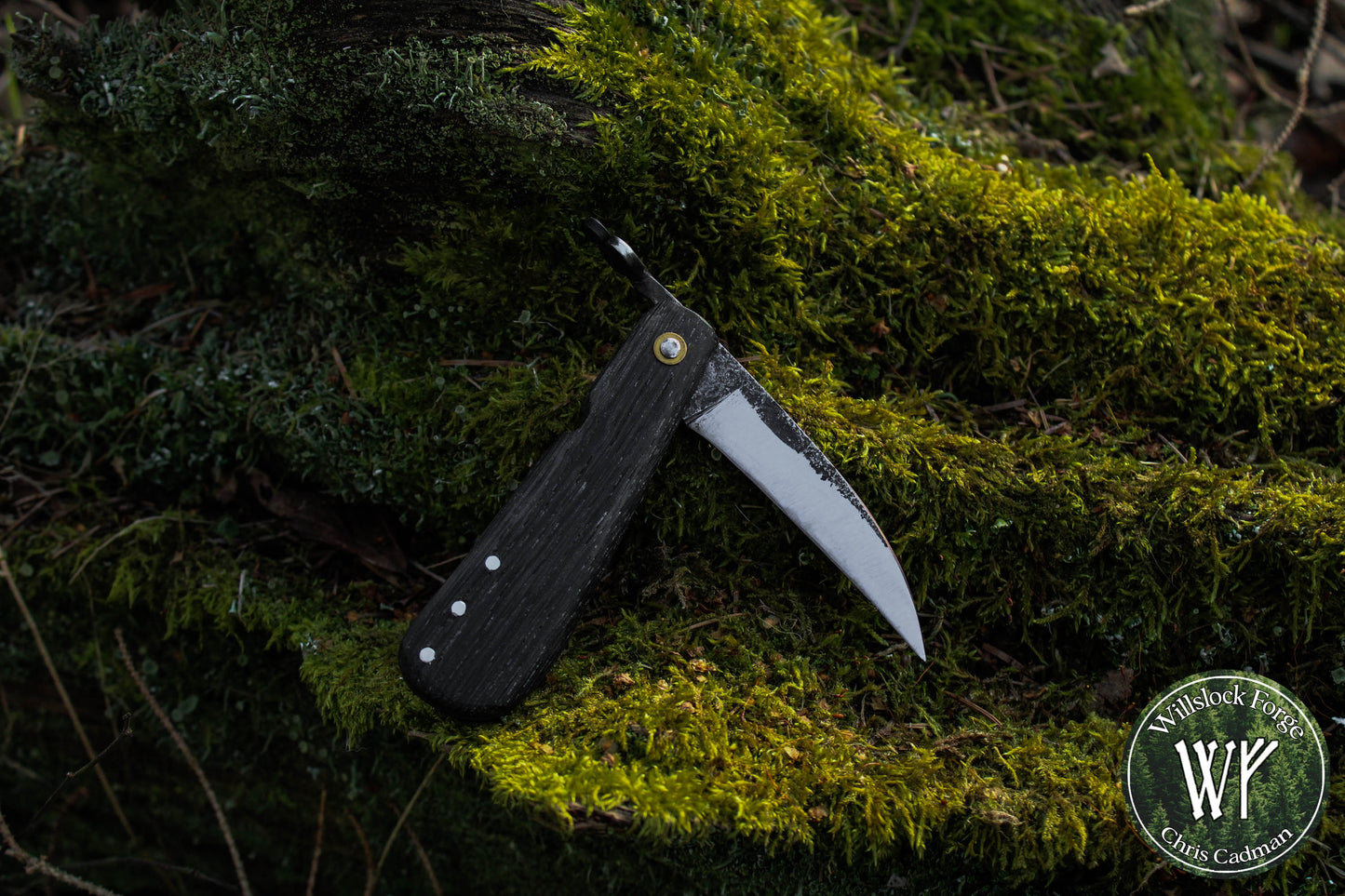 Hand-forged Folding Mushroom Knife. 1084 Carbon Steel Blade with Bog Oak and Bloodwood handle.