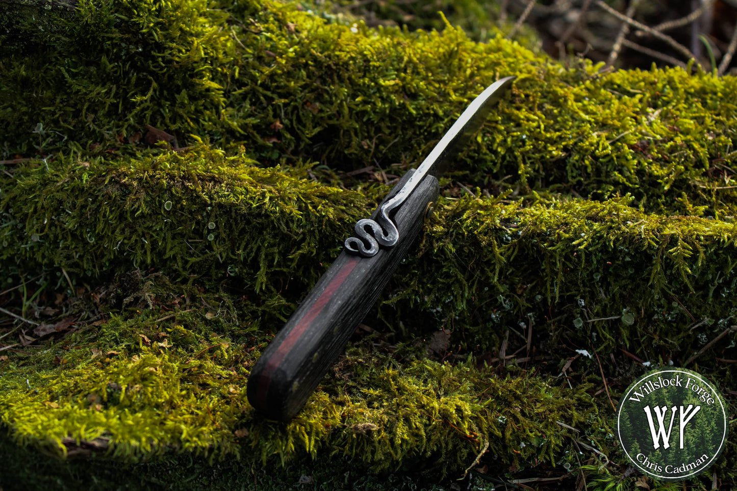 Hand-forged Folding Mushroom Knife. 1084 Carbon Steel Blade with Bog Oak and Bloodwood handle.