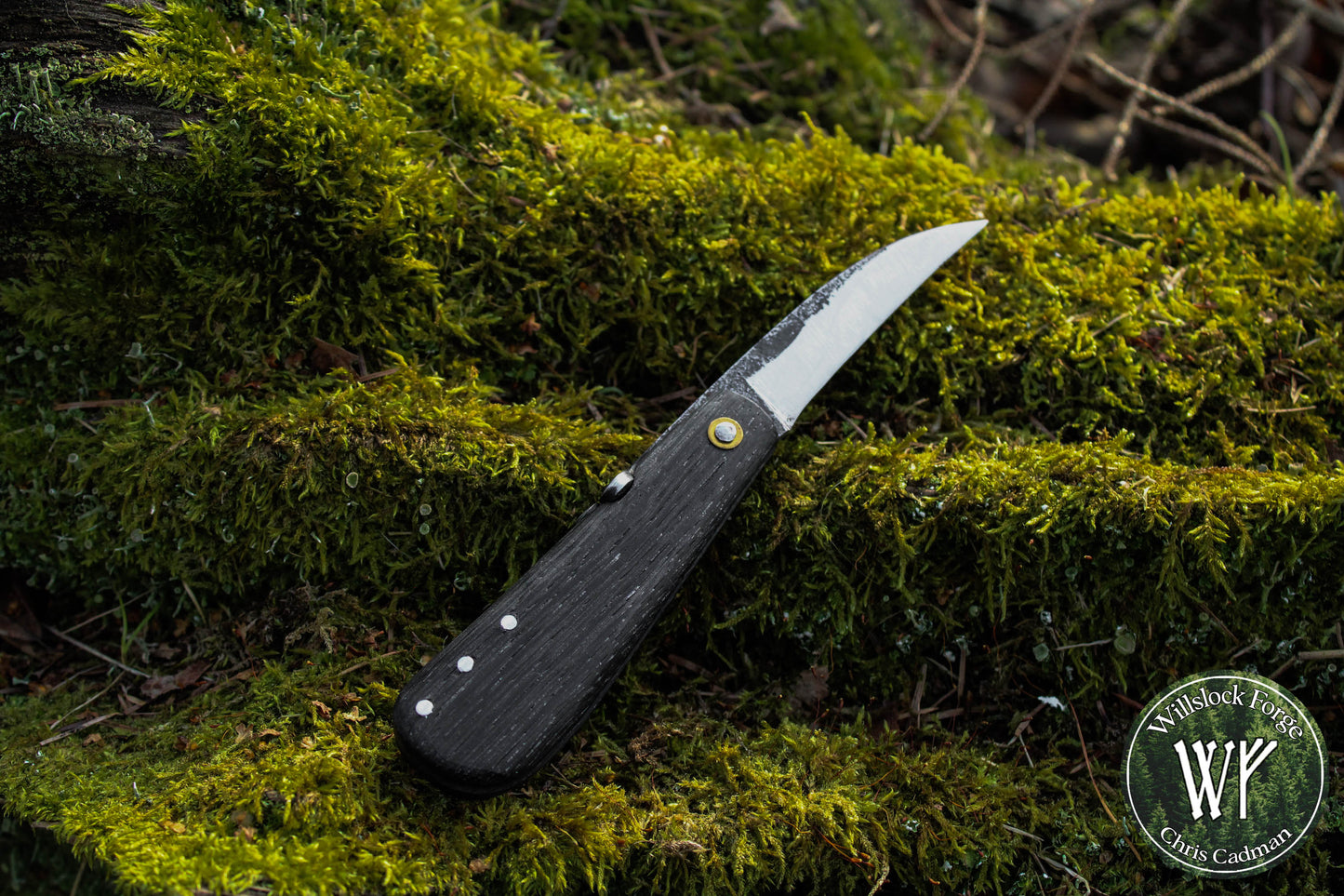 Hand-forged Folding Mushroom Knife. 1084 Carbon Steel Blade with Bog Oak and Bloodwood handle.