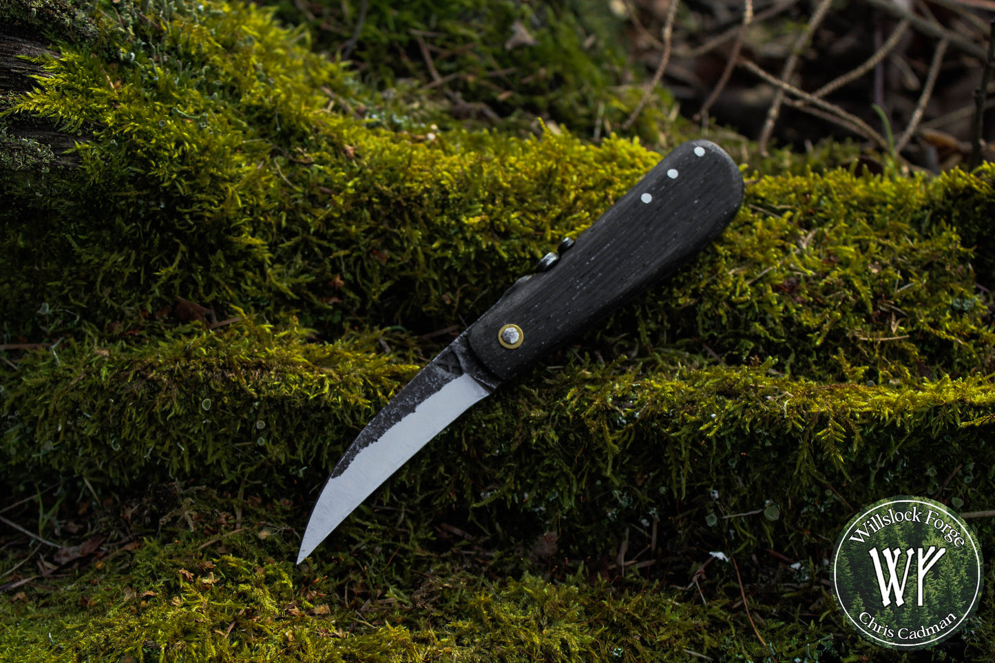 Hand-forged Folding Mushroom Knife. 1084 Carbon Steel Blade with Bog Oak and Bloodwood handle.