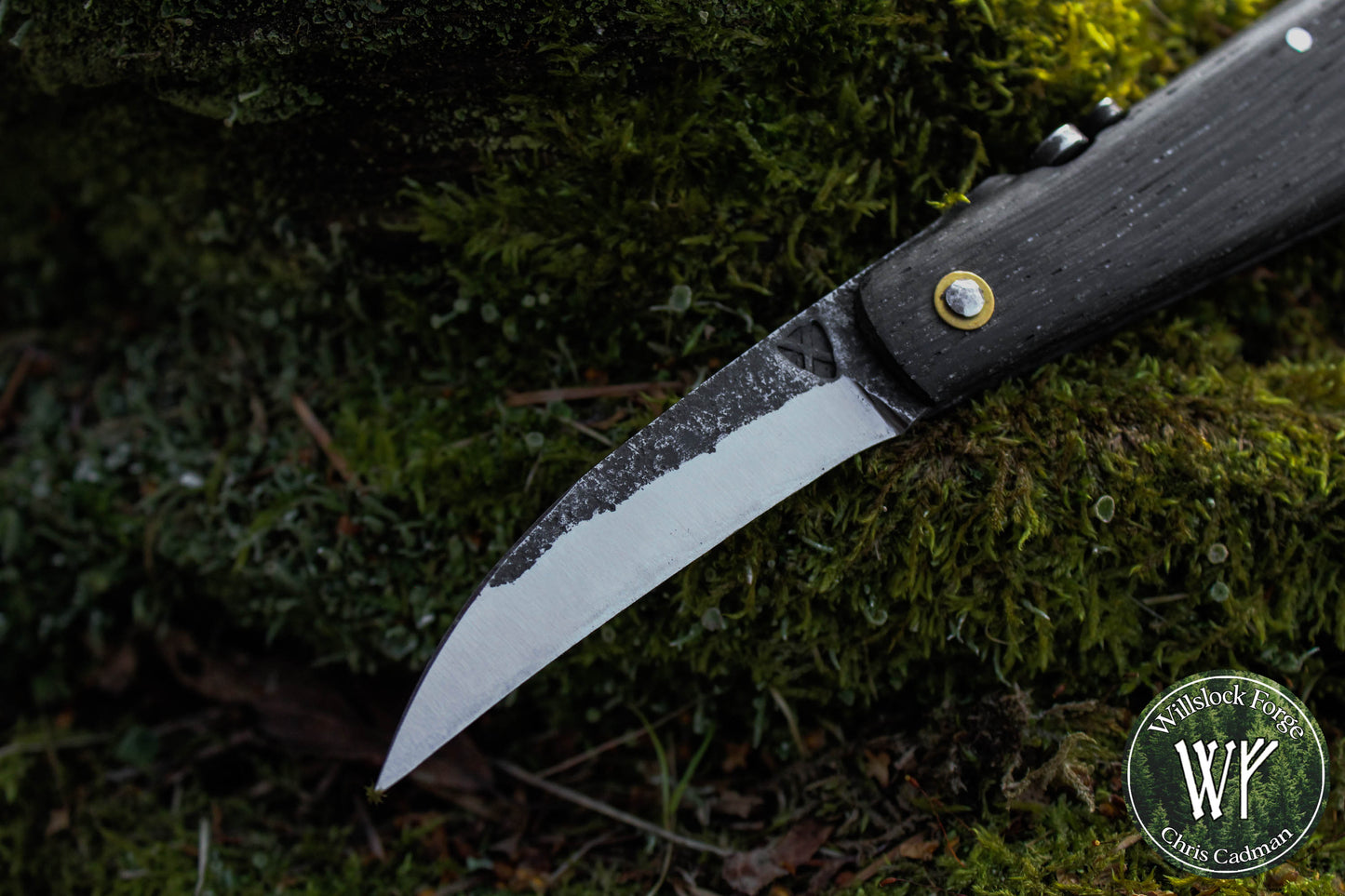 Hand-forged Folding Mushroom Knife. 1084 Carbon Steel Blade with Bog Oak and Bloodwood handle.